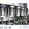 Ce Standard Mineral Water Blowing Capping 3 in 1 Machine