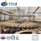 Zhangjiagang Hy-Filling Mineral Water Botling Machine