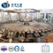 Zhangjiagang Hy-Filling Mineral Water Botling Machine